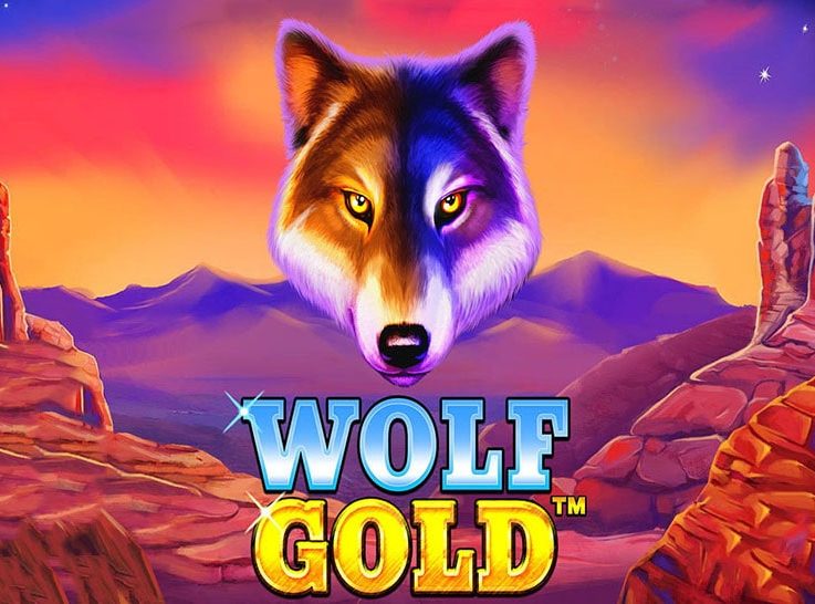 The logo of the popular Wolf Gold slot machine, which can be played for free on playamo.net